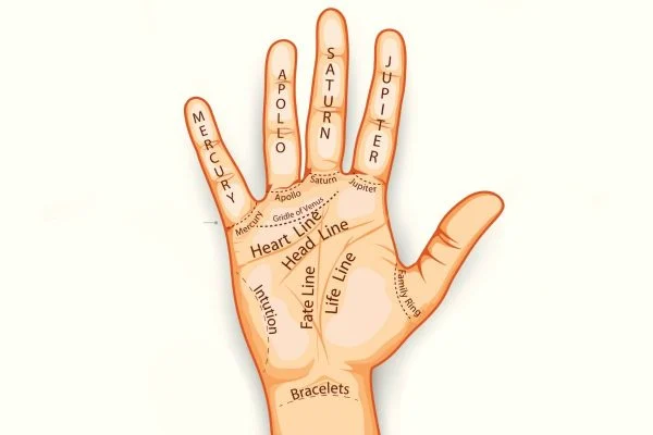 Palmistry